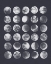 Picture of MANY MOONS IV