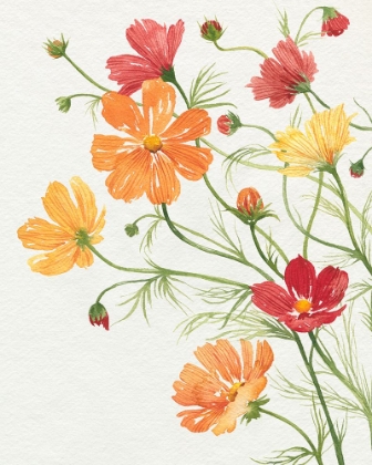 Picture of WARM COSMOS I