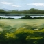 Picture of RIVER RUN VALLEY II