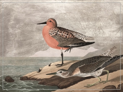 Picture of GILDED SANDPIPERS I