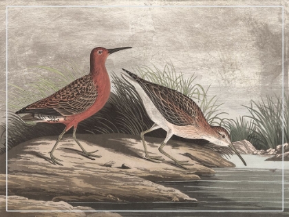 Picture of GILDED SANDPIPERS II