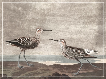 Picture of GILDED SANDPIPERS III