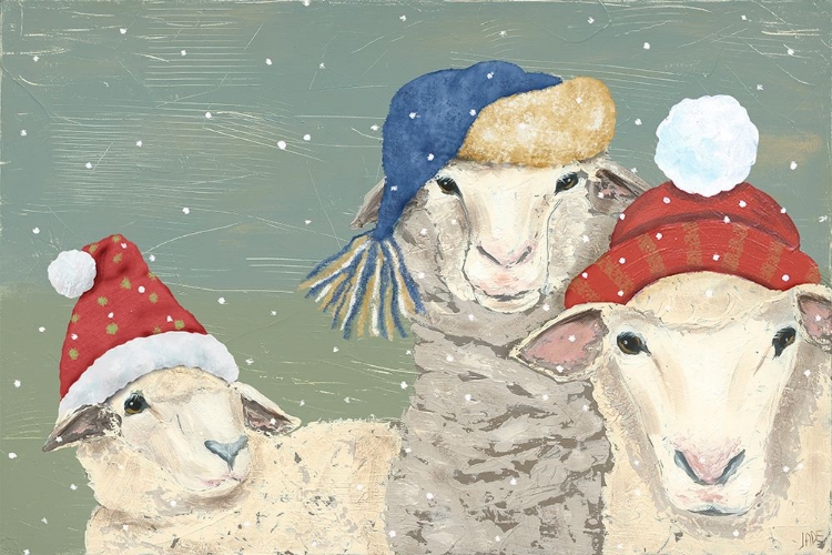 Picture of SHEEP XMAS I