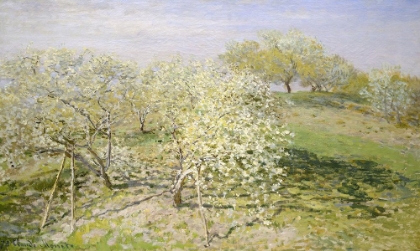 Picture of FRUIT TREES IN BLOOM