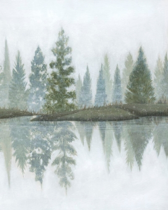 Picture of HAZY WINTER REFLECTIONS II