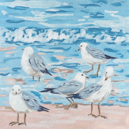 Picture of SEAGULL BIRDS II