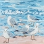 Picture of SEAGULL BIRDS II