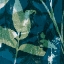 Picture of BOTANICAL IMPRINTS IN BLUE I