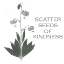 Picture of SCATTER FLORAL INSPIRATION I