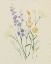 Picture of EDEN PRESSED II