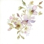 Picture of BLOSSOMS AND ROOTS VI