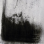 Picture of BLACK ARIA II