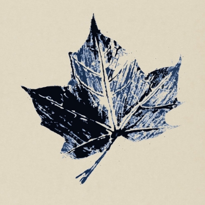 Picture of SKELETON LEAF II