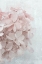 Picture of FROSTED OVER I