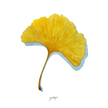 Picture of GOLDEN GINKGO STUDY II