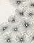 Picture of UMBRELLA BURSTS II