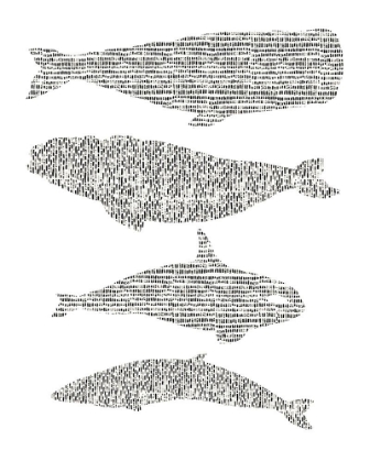 Picture of DASHED WHALE CHART I