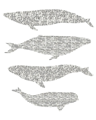 Picture of DASHED WHALE CHART II