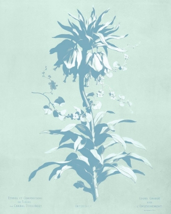 Picture of MINT LILIUM I
