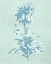 Picture of MINT LILIUM I