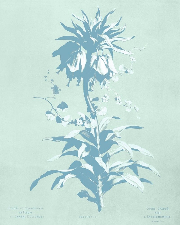 Picture of MINT LILIUM I