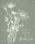 Picture of LOVELY WILDFLOWER QUOTES II