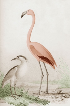 Picture of ANTIQUE CHROMA WATERBIRDS I