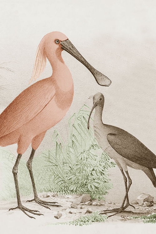 Picture of ANTIQUE CHROMA WATERBIRDS II