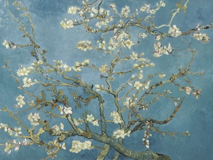 Picture of VAN GOGHS ALMOND BLOSSOM