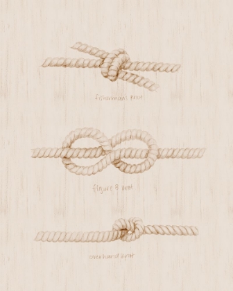 Picture of NAUTICAL KNOT STUDY I