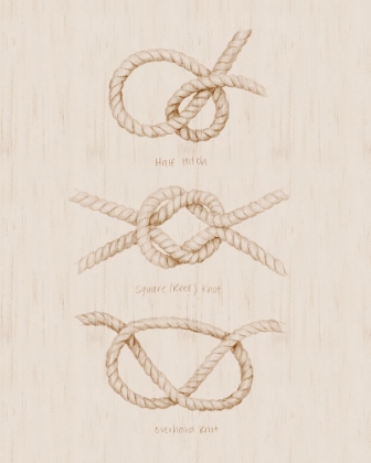 Picture of NAUTICAL KNOT STUDY II