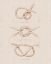 Picture of NAUTICAL KNOT STUDY II