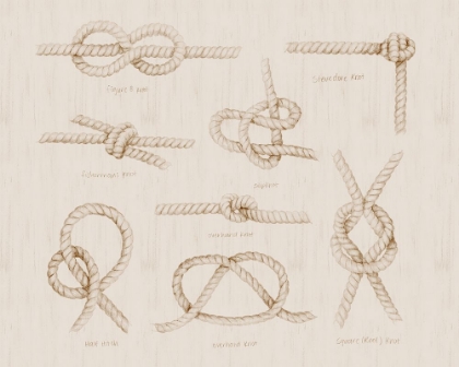 Picture of NAUTICAL KNOT STUDY III