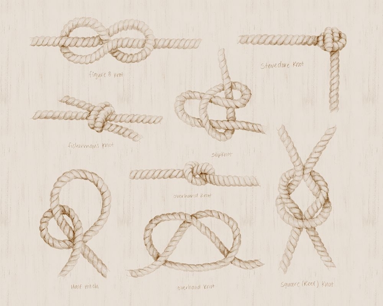 Picture of NAUTICAL KNOT STUDY III