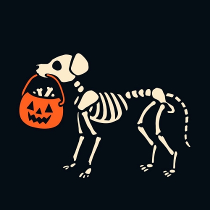 Picture of SKELEPET II