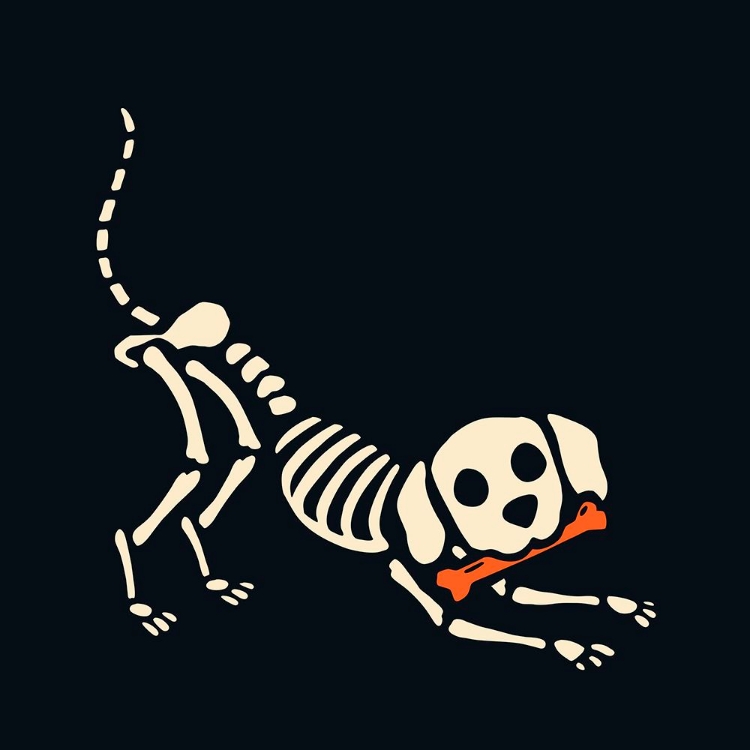 Picture of SKELEPET III