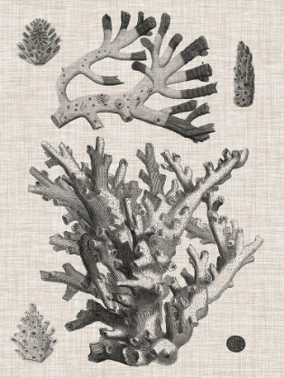 Picture of CORAL ON LINEN I