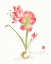 Picture of GENTLE LOVE I