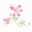 Picture of SILK I