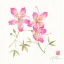 Picture of SILK III