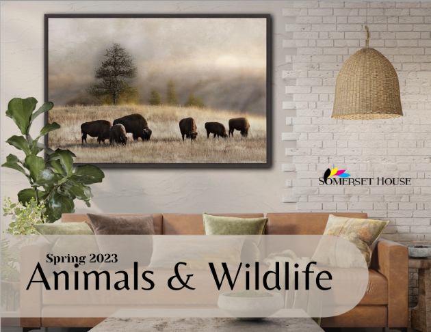 Picture for category ANIMALS & WILDLIFE APR 2023