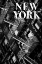 Picture of NYC FIRE ESCAPES