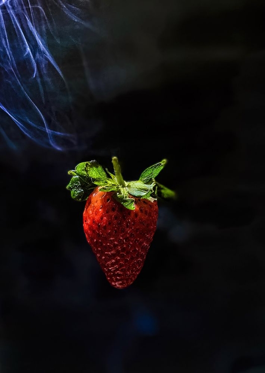 Picture of FLYING STRAWBERRY 2
