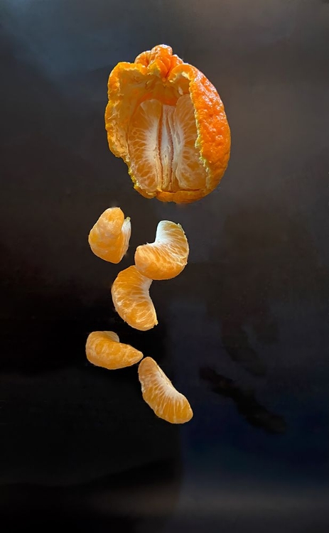 Picture of FLYING TANGERINE