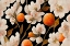 Picture of WILD ORANGES