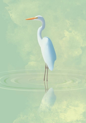 Picture of HERON