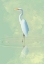 Picture of HERON