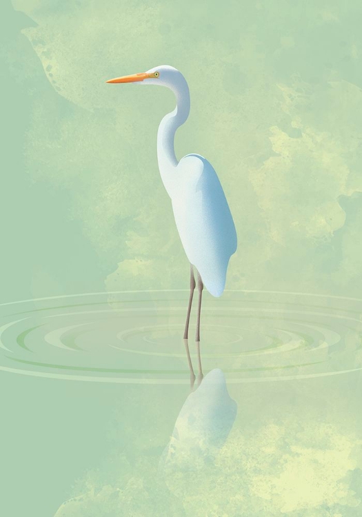 Picture of HERON
