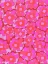 Picture of CUTE PINK FLOWERS
