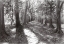 Picture of BERGEN - 10-04-20
